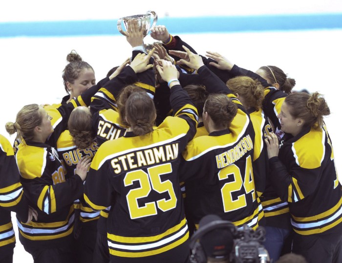 Image from: http://www.thestar.com/content/dam/thestar/sports/hockey/2015/03/07/boston-blades-beat-montreal-stars-in-ot-to-win-clarkson-cup/boston-blades.jpg