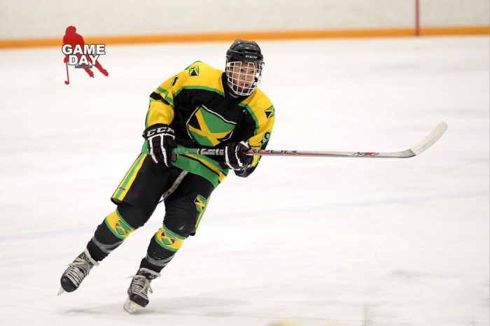 Image from: http://thehockeyhouse.net