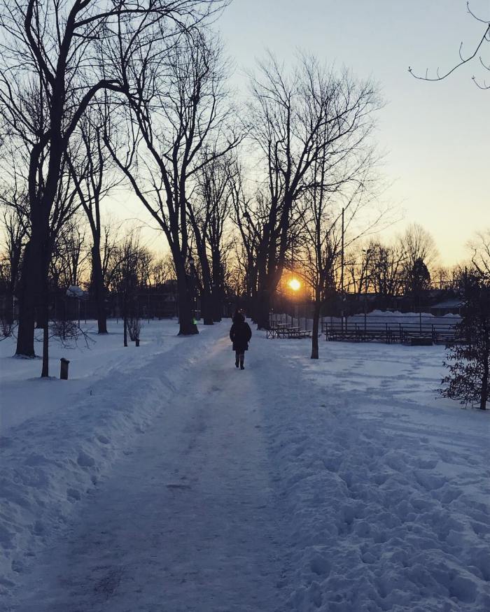 51241350_10161267770720514_8056747859996835840_o